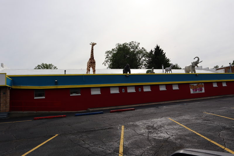 Edru Skate - May 2022 Photo (newer photo)